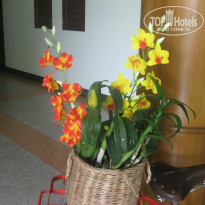 фото из отзыва ID 662408