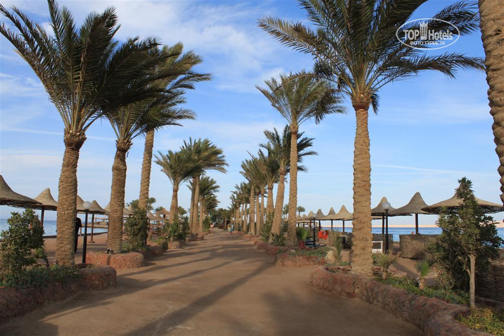 Arabia azur hurghada. Арабия Хургада. Арабия Бич Резорт Хургада. Египет Арабия Азур. АРАБИА Азур 4.