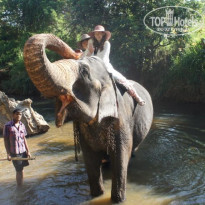 фото из отзыва ID 670011