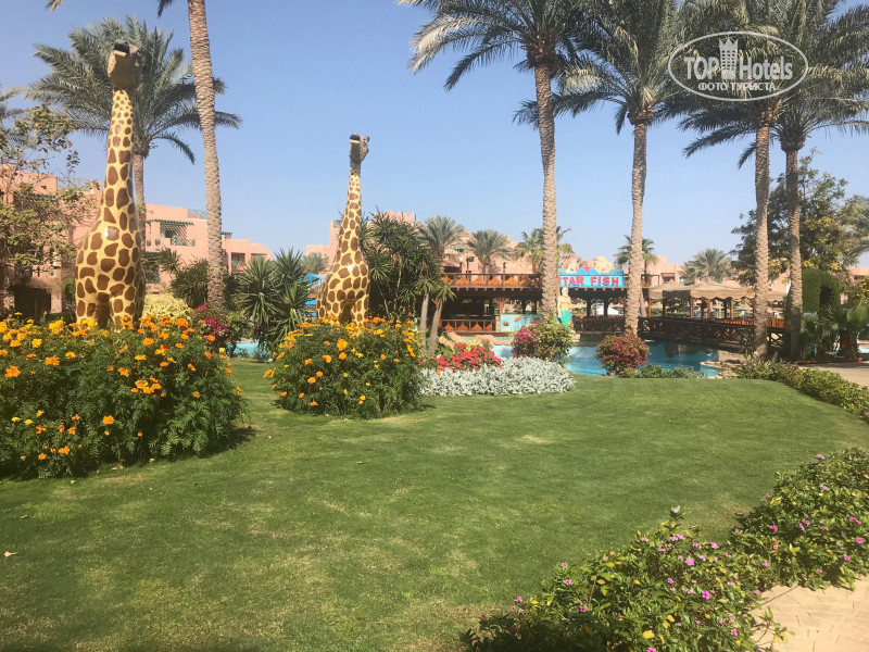 Rehana sharm resort 4 отзывы. Rehana Sharm Resort Aqua Park & Spa 4*. Rehana Sharm Resort Aqua Park Spa 4 фото. Фото отеля 🇾🇪Rehana Sharm Resort Aqua Park & Spa 4*. Рехана Шарм-Эль-Шейх 4 фото.