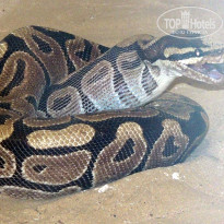 фото из отзыва ID 680650