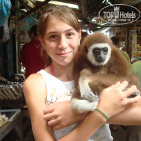 фото из отзыва ID 687778