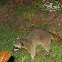 фото из отзыва ID 696269