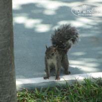 фото из отзыва ID 696269