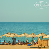 фото из отзыва ID 702600