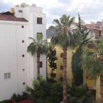 фото из отзыва ID 703863