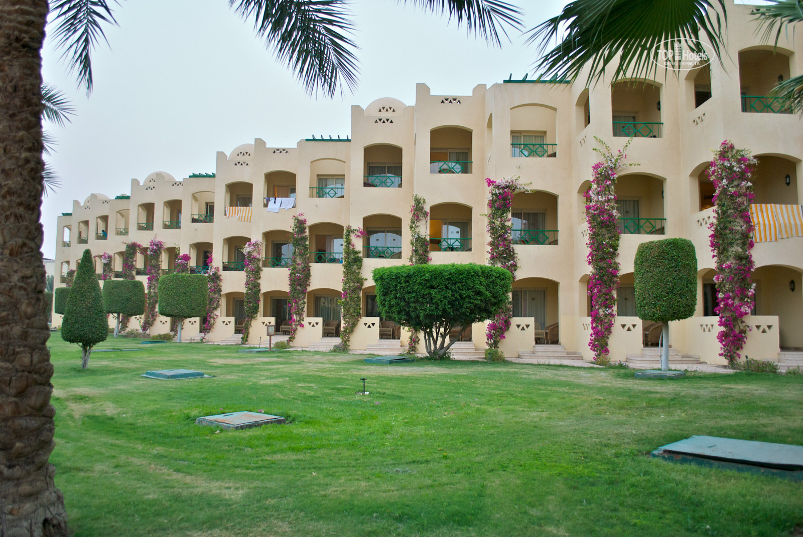 Отель в египте tia heights makadi bay