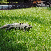 фото из отзыва ID 712799