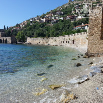 фото из отзыва ID 719286