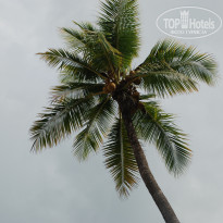 фото из отзыва ID 721022