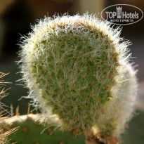фото из отзыва ID 722989
