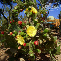 фото из отзыва ID 722989