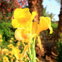 фото из отзыва ID 722989