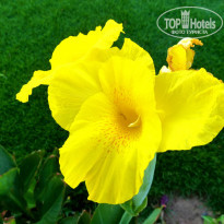 фото из отзыва ID 722989