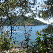 фото из отзыва ID 725476