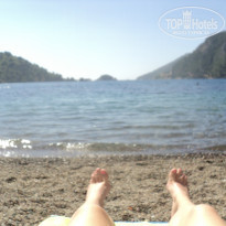 фото из отзыва ID 729021