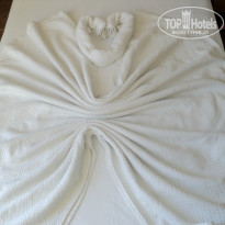 фото из отзыва ID 729021