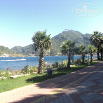 фото из отзыва ID 729021