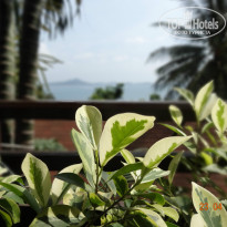 фото из отзыва ID 729237