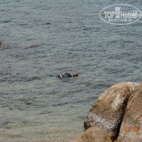 фото из отзыва ID 729237