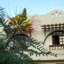 фото из отзыва ID 734147