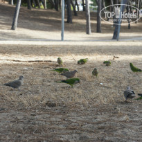 фото из отзыва ID 750068