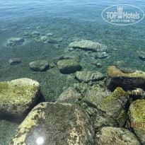 фото из отзыва ID 753529