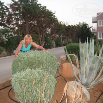 фото из отзыва ID 754182