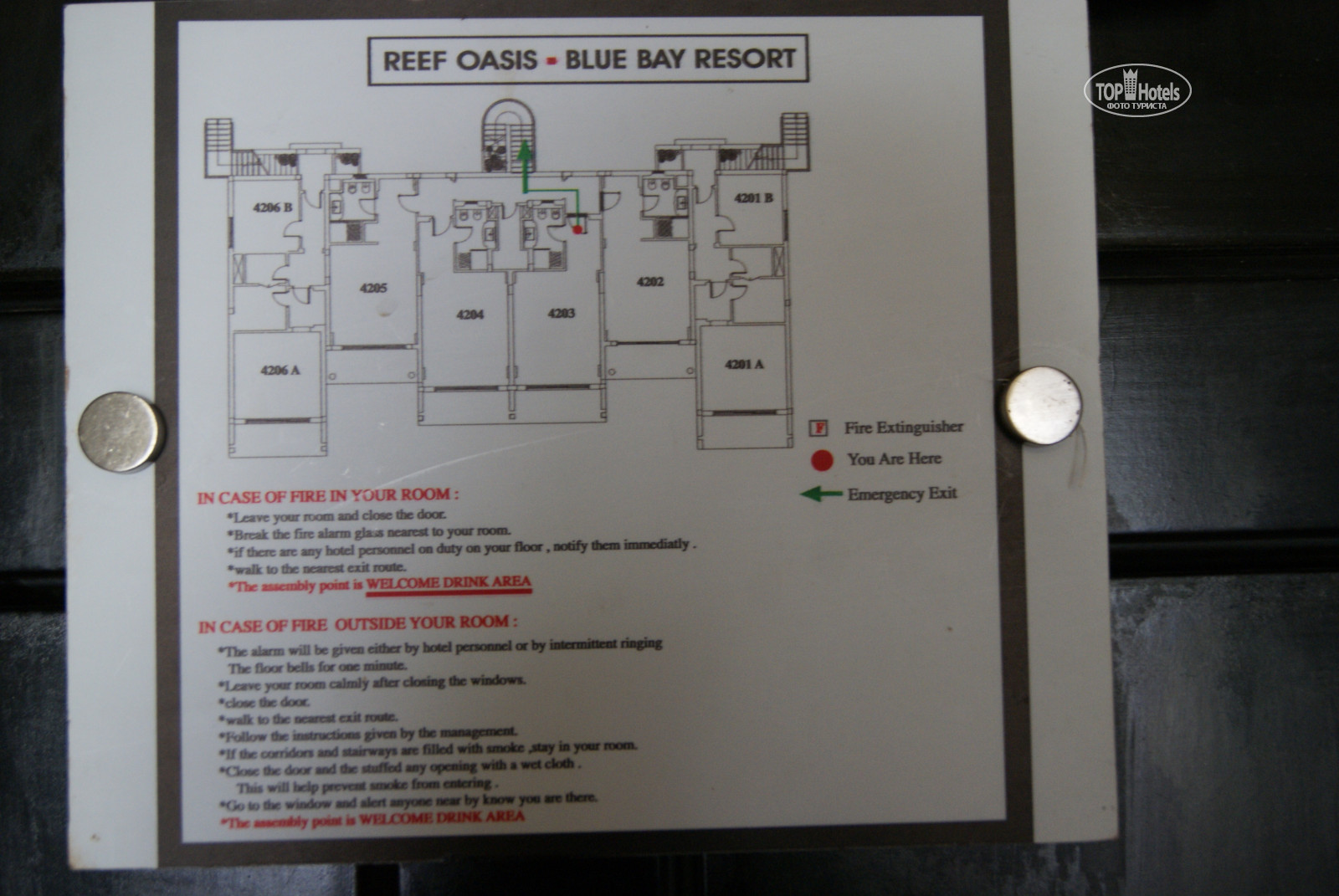 Карта отеля риф оазис блю бей