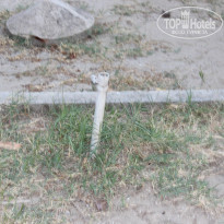 фото из отзыва ID 771140