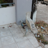 фото из отзыва ID 771140