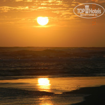 фото из отзыва ID 771685