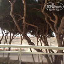 фото из отзыва ID 773188