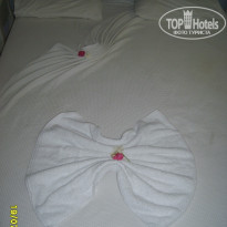 фото из отзыва ID 780895