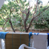 фото из отзыва ID 781787