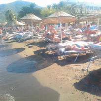 фото из отзыва ID 781912