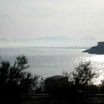 фото из отзыва ID 782501