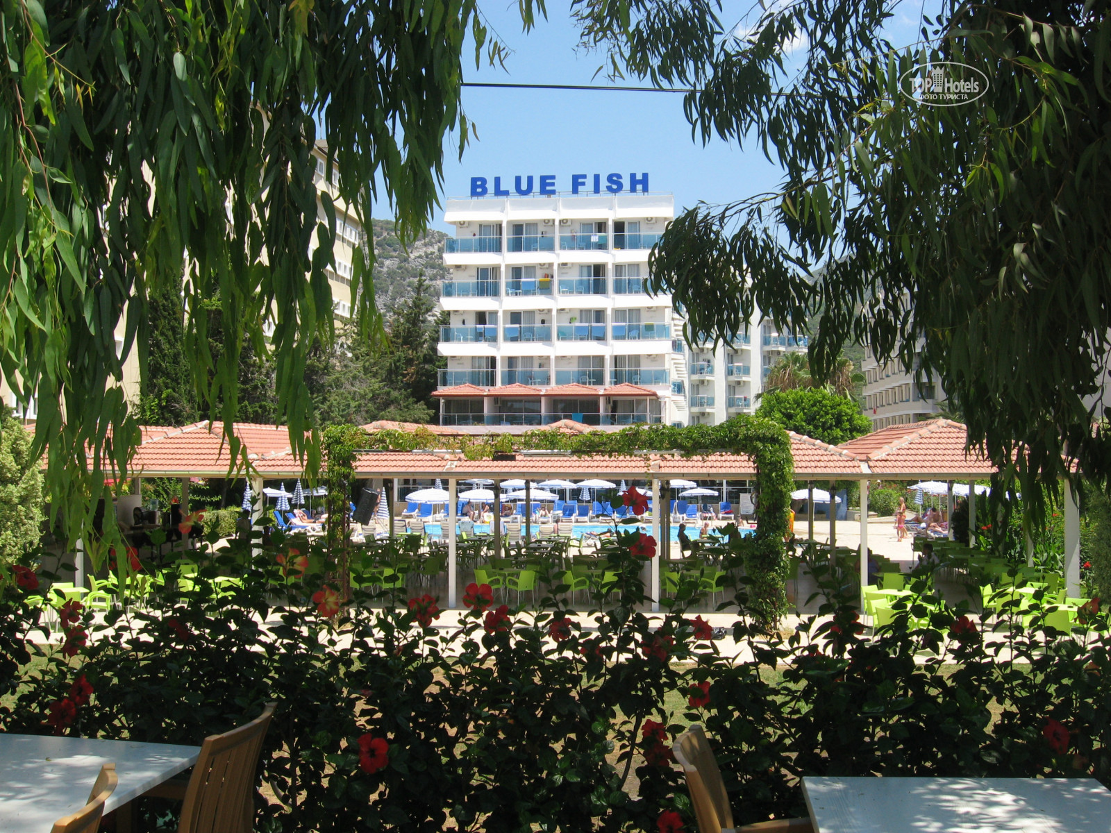 Blue fish 4. Блю Фиш Турция Аланья. Blue Fish Hotel. Blue Fish Hotel 4. Блю Фиш Турция фото.