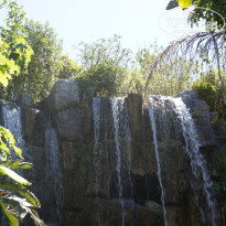 фото из отзыва ID 785396