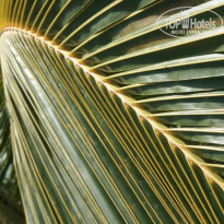 фото из отзыва ID 785450