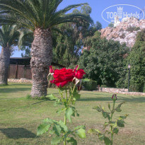 фото из отзыва ID 787089