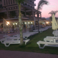 фото из отзыва ID 787089