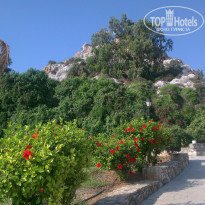 фото из отзыва ID 787089