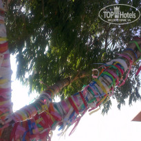 фото из отзыва ID 787089