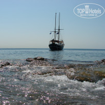 фото из отзыва ID 788396