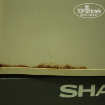 фото из отзыва ID 789327