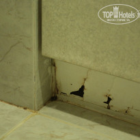 фото из отзыва ID 789327