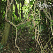 фото из отзыва ID 796553