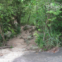 фото из отзыва ID 796553