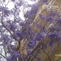 фото из отзыва ID 796638